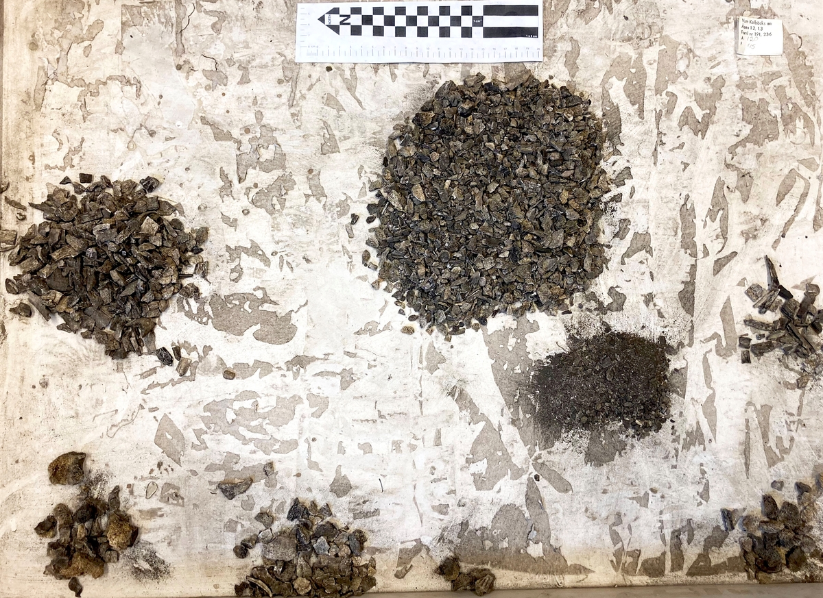 Osteologiskt material från undersökningen vid Åsen, Kolbäck 1968-1970