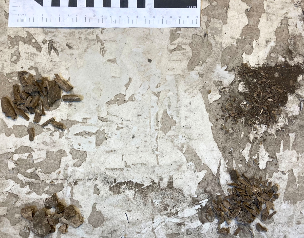 Osteologiskt material från undersökningen vid Åsen, Kolbäck 1968-1970