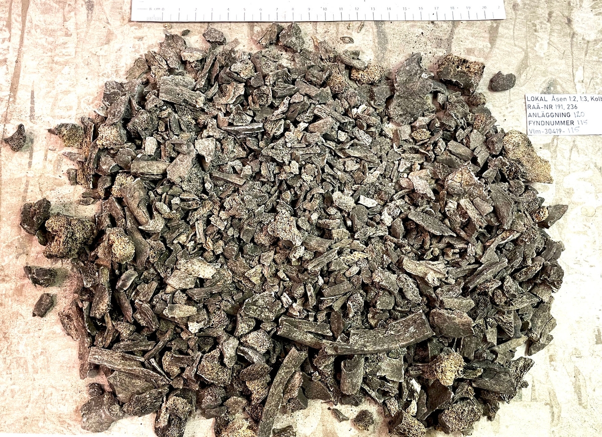 Osteologiskt material från undersökningen vid Åsen, Kolbäck 1968-1970