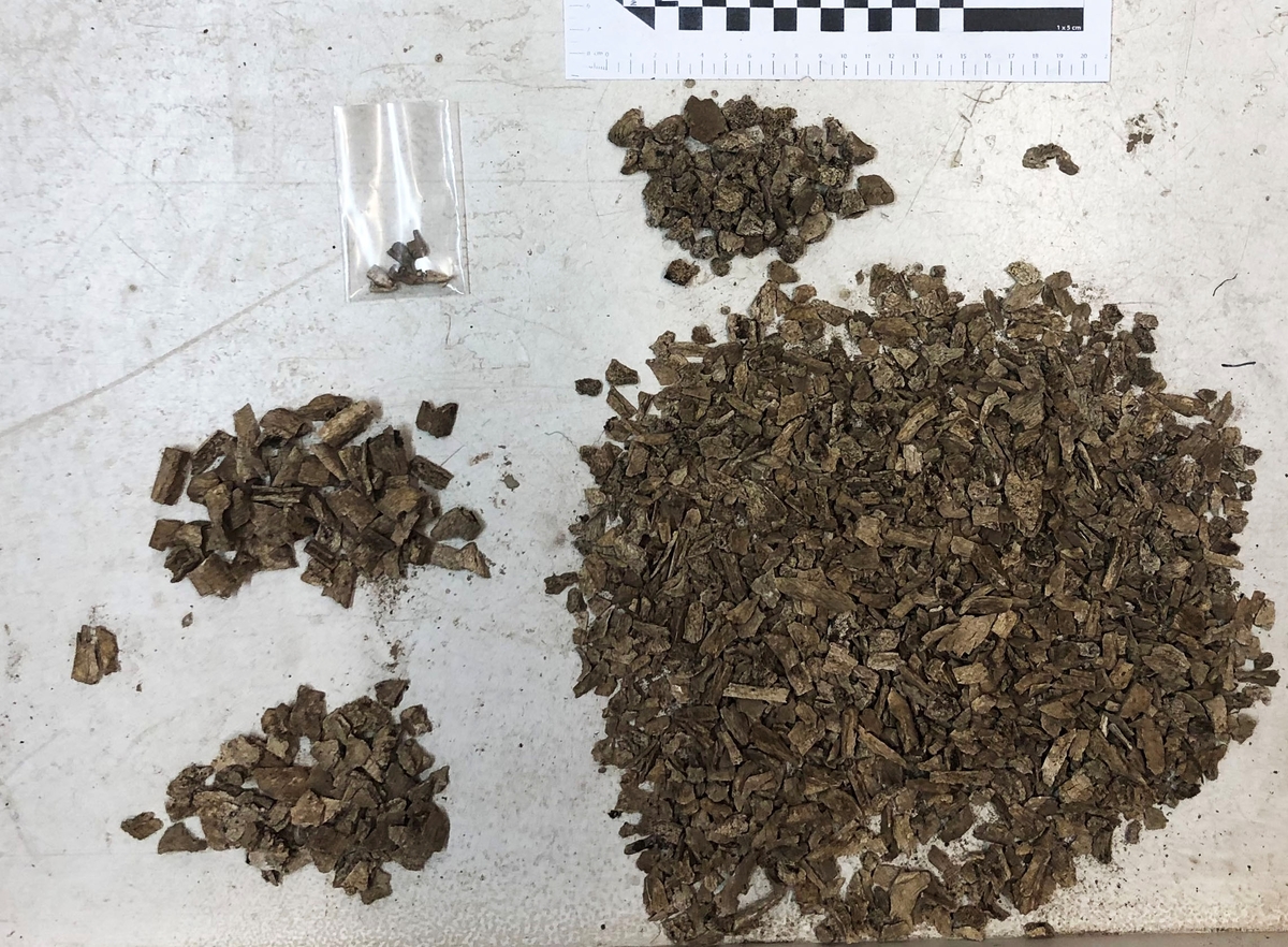 Osteologiskt material från undersökningen vid Åsen, Kolbäck 1968-1970