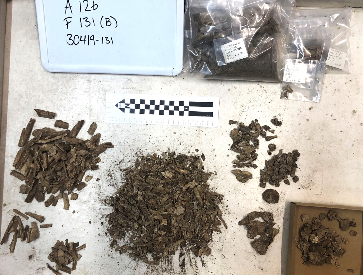 Osteologiskt material från undersökningen vid Åsen, Kolbäck 1968-1970