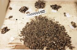 Åsen, Kolbäck (Kolbäck 191:1, 236:1 - arkeologisk undersökning 1968 - 1970