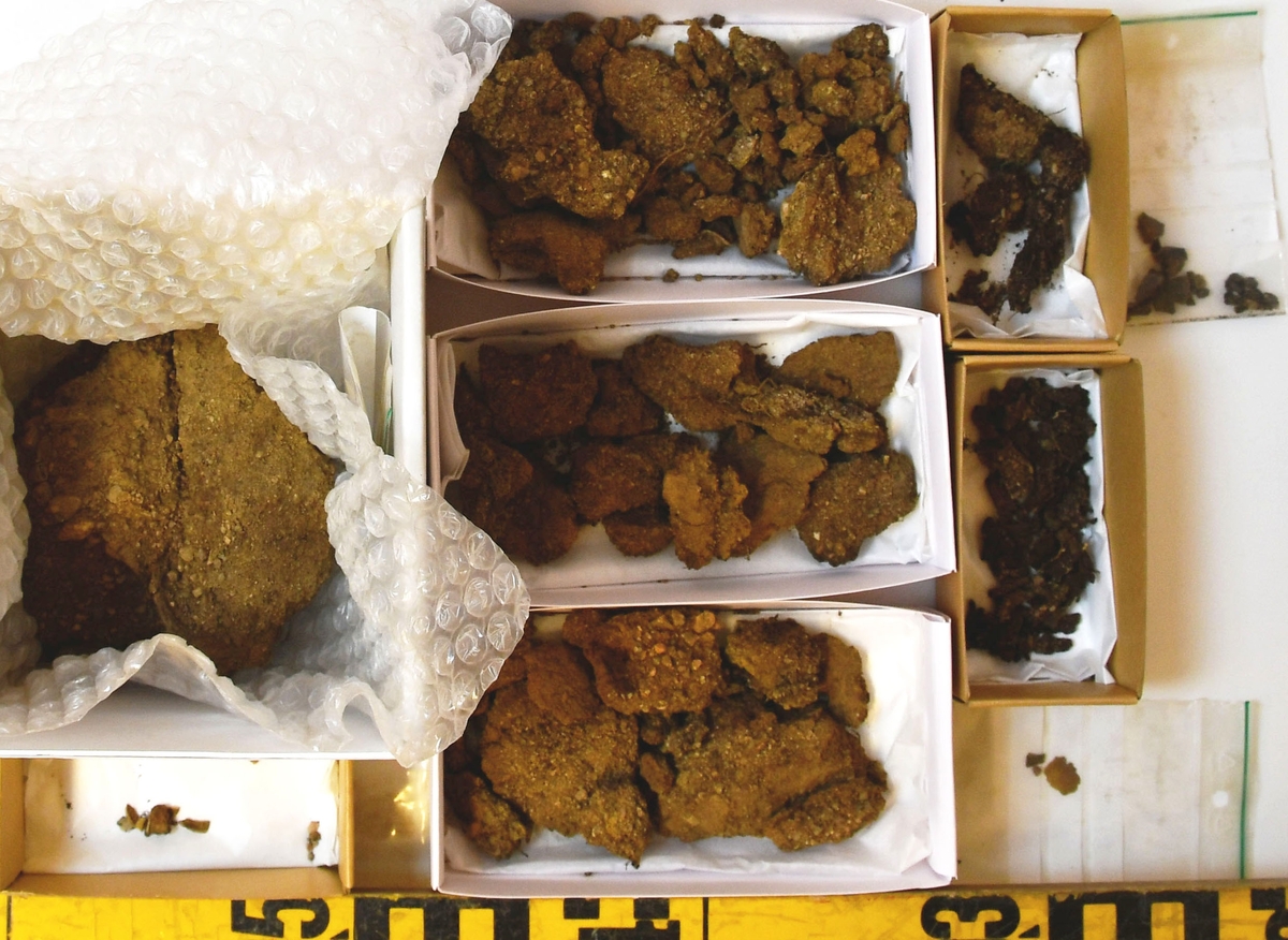 Osteologiskt material från undersökningen vid Åsen, Kolbäck 1968-1970