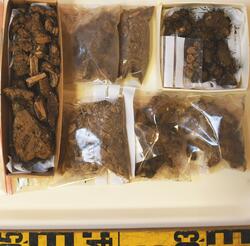 Åsen, Kolbäck (Kolbäck 191:1, 236:1 - arkeologisk undersökning 1968 - 1970