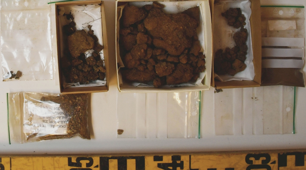 Osteologiskt material från undersökningen vid Åsen, Kolbäck 1968-1970