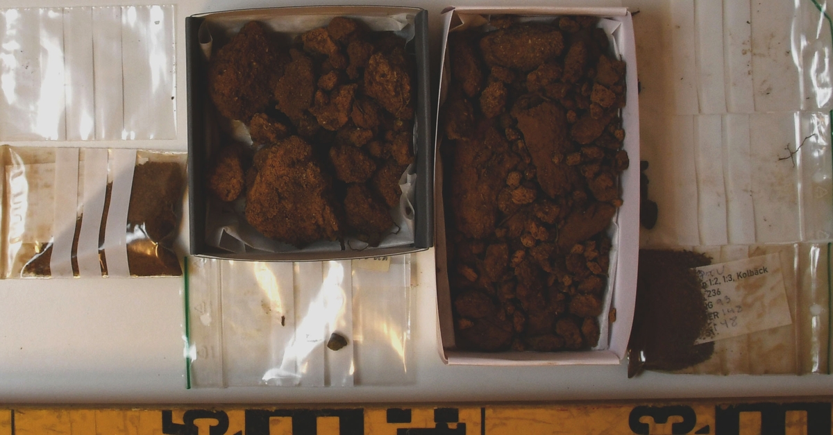 Osteologiskt material från undersökningen vid Åsen, Kolbäck 1968-1970