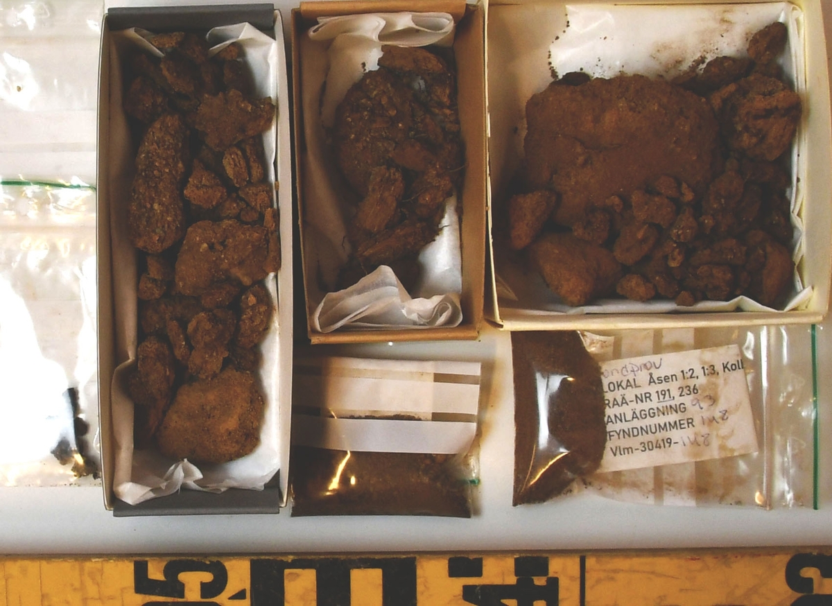 Osteologiskt material från undersökningen vid Åsen, Kolbäck 1968-1970