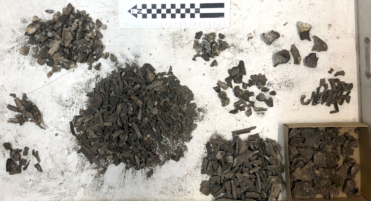 Osteologiskt material från undersökningen vid Åsen, Kolbäck 1968-1970