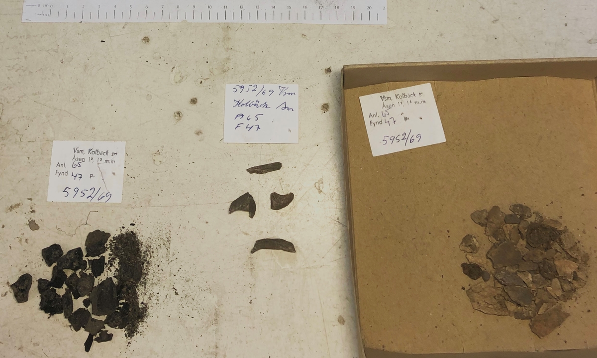 Osteologiskt material från undersökningen vid Åsen, Kolbäck 1968-1970