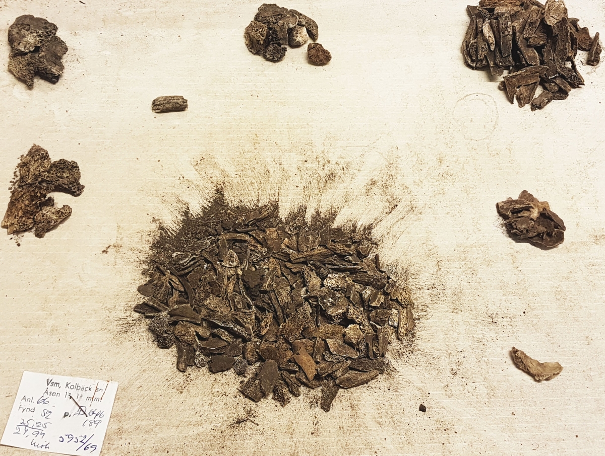 Osteologiskt material från undersökningen vid Åsen, Kolbäck 1968-1970