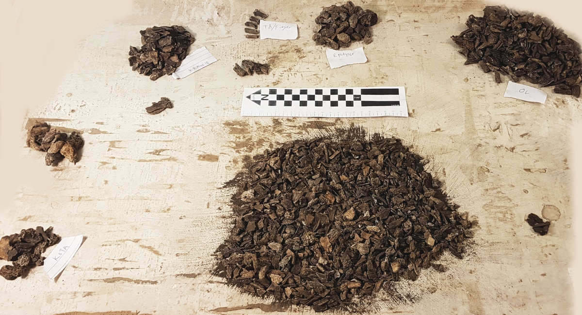 Osteologiskt material från undersökningen vid Åsen, Kolbäck 1968-1970