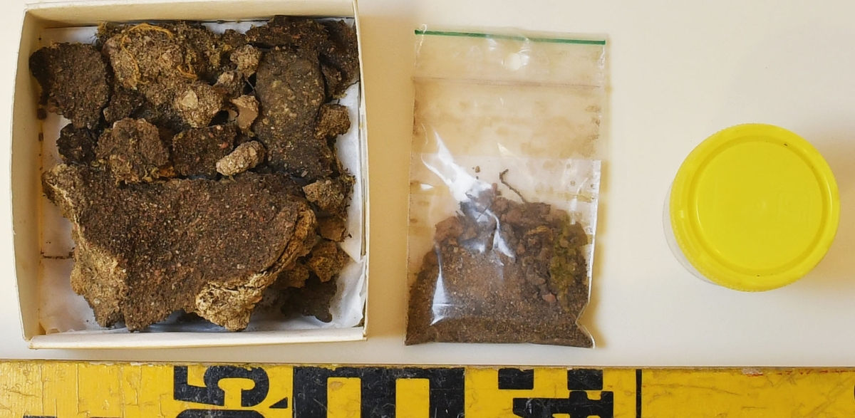 Osteologiskt material från undersökningen vid Åsen, Kolbäck 1968-1970