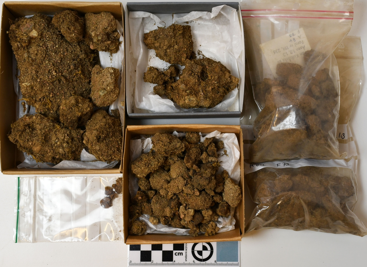 Osteologiskt material från undersökningen vid Åsen, Kolbäck 1968-1970