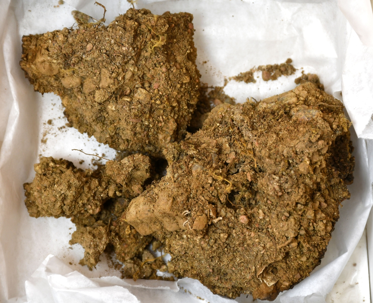 Osteologiskt material från undersökningen vid Åsen, Kolbäck 1968-1970