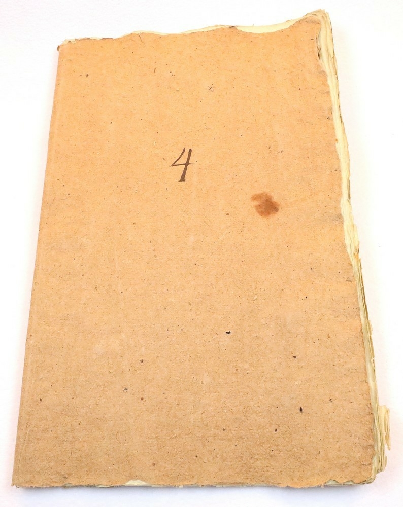 Plante nr. 266 frå Ivar Aasen sitt herbarium.  