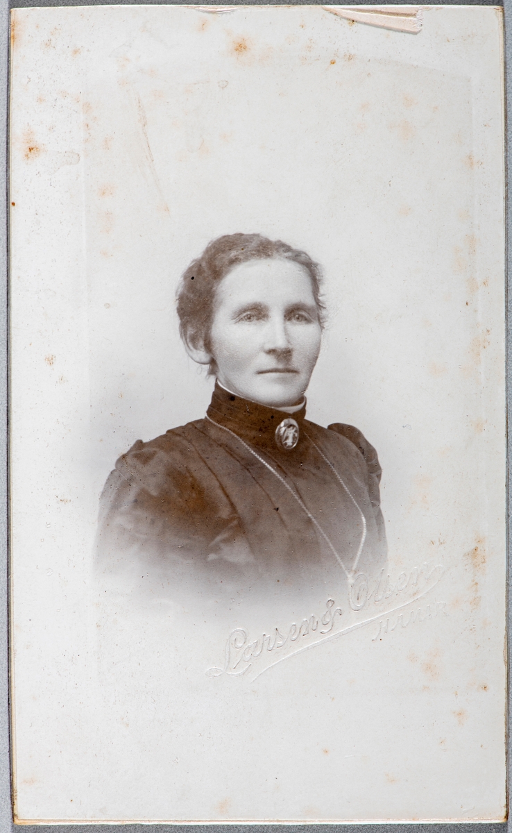 Portrett ukjent kvinne. Carte visit og Kabinett bilder fra to fotoalbumer fra Holte Gård i Stange.