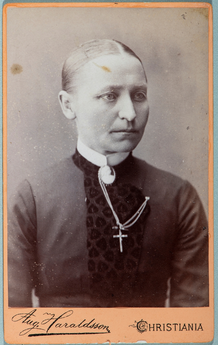 Portrett ukjent kvinne. 
Carte visit og Kabinett bilder fra to fotoalbumer fra Holte Gård i Stange.