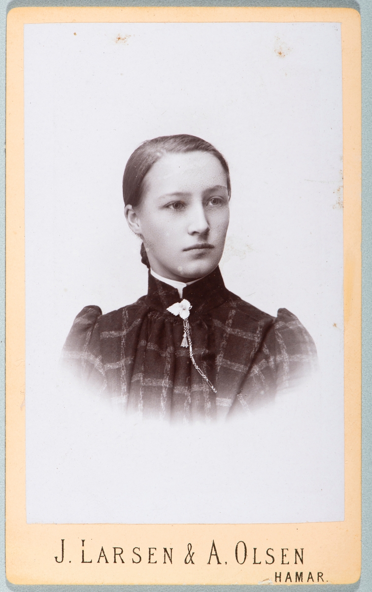 Portrett ukjent kvinne. Carte visit og Kabinett bilder fra to fotoalbumer fra Holte Gård i Stange.