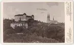 Kabinettsfotografi - vy över stadsdelen Fjärdingen, Uppsala 1890