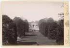 Kabinettsfotografi - Botaniska trädgården, Uppsala 1892