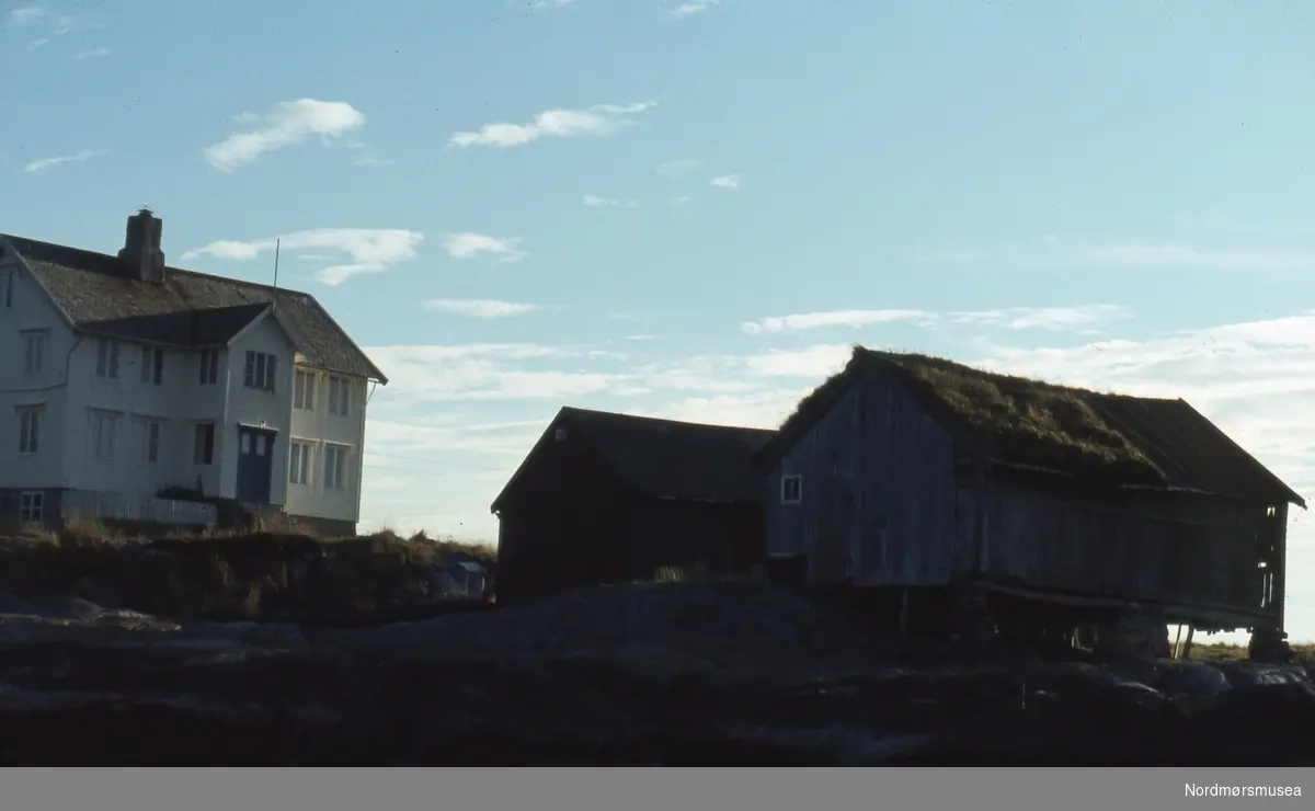 Foto fra et gårdsbruk, muligens i Smøla kommune i Møre og Romsdal. Datering er muligens fra begynnelsen av 1980-tallet. Fra Stein Magne Bach sin private fotosamling. Denne samlingen består av dias fra perioden omkring 1980. Fra Nordmøre museums fotosamlinger.