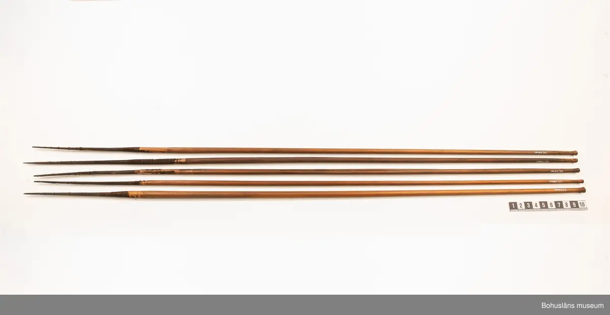 Ur handskrivna katalogen 1957-1958:
Pilkoger, Kongo, Afrika
Kogsets L. 42 cm, av skinn, m. fastknuten stödpinne; inneh. 30 st, varav flera är brutna och trasiga förgiftade rörpilar m. hårda spetsar av trä, L.c:a 75 cm. 
Kogset inneh. en pil, längre (c:a 10 cm mer) än de övriga; överföres t. grp UM860.
Pilarna nr, 811 är ej var för sig märkta!

Lappkatalog: 9

Ur Knut Adrian Anderssons Katalog II 1916:
No 11a, Pilkoger av läder (42x6x5 cm) innehåller 20 förgiftade rörpilar (60 cm). Från Lamami (Lomami?) i Kongo. Skänkta 2/11 1985 av löjtnant A. Hoppenrath.
