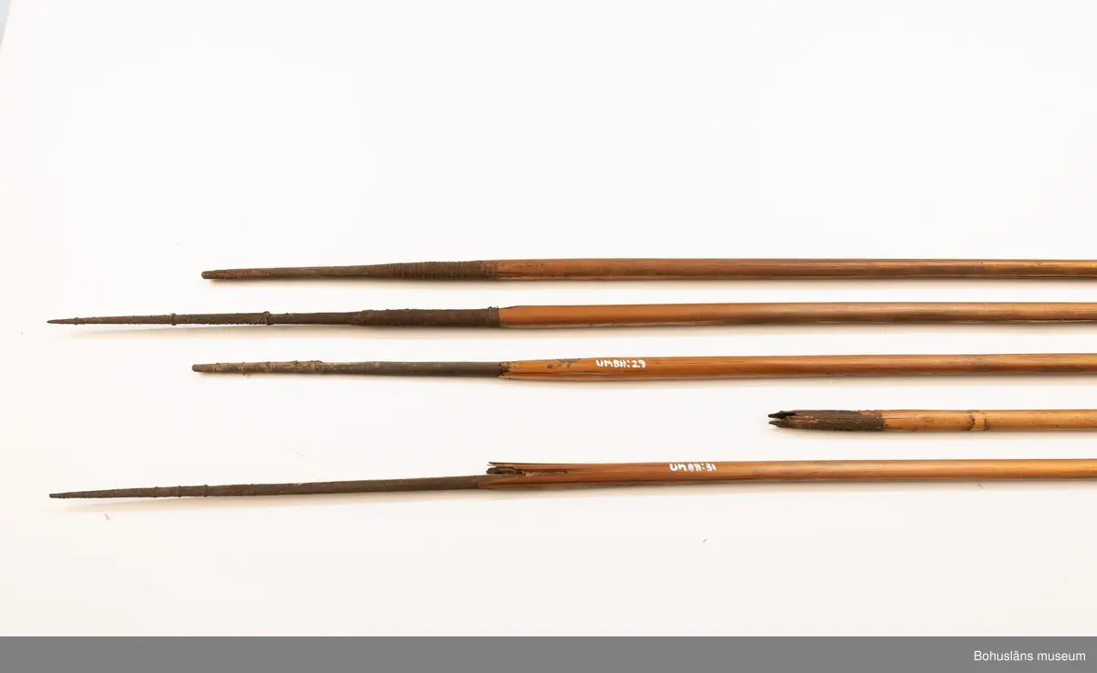 Ur handskrivna katalogen 1957-1958:
Pilkoger, Kongo, Afrika
Kogsets L. 42 cm, av skinn, m. fastknuten stödpinne; inneh. 30 st, varav flera är brutna och trasiga förgiftade rörpilar m. hårda spetsar av trä, L.c:a 75 cm. 
Kogset inneh. en pil, längre (c:a 10 cm mer) än de övriga; överföres t. grp UM860.
Pilarna nr, 811 är ej var för sig märkta!

Lappkatalog: 9

Ur Knut Adrian Anderssons Katalog II 1916:
No 11a, Pilkoger av läder (42x6x5 cm) innehåller 20 förgiftade rörpilar (60 cm). Från Lamami (Lomami?) i Kongo. Skänkta 2/11 1985 av löjtnant A. Hoppenrath.
