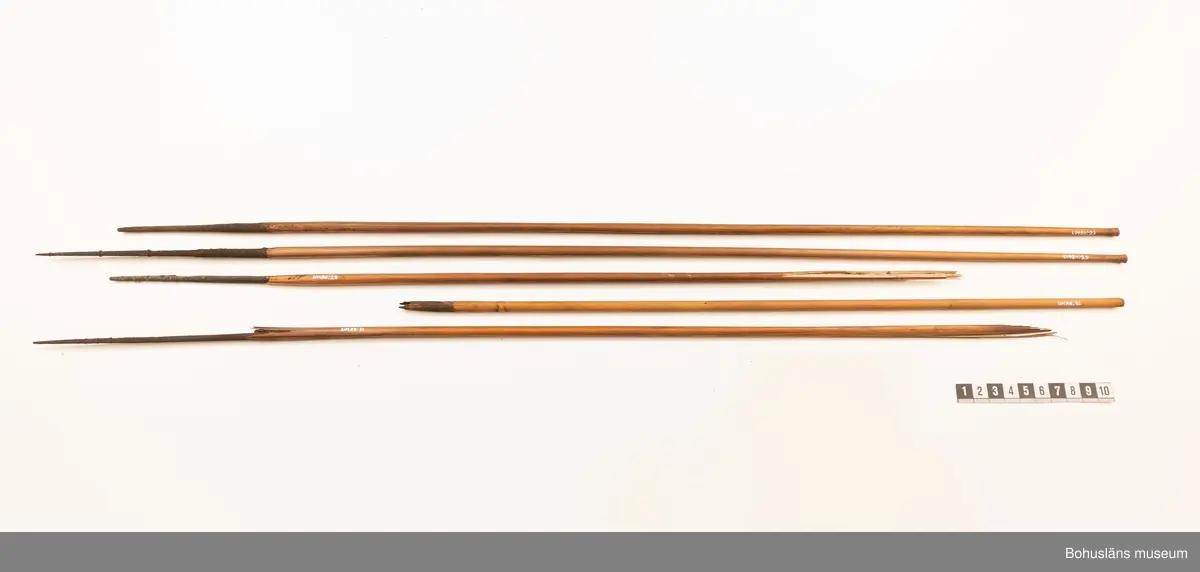 Pilen har gått av och saknar spets.

Ur handskrivna katalogen 1957-1958:
Pilkoger, Kongo, Afrika
Kogsets L. 42 cm, av skinn, m. fastknuten stödpinne; inneh. 30 st, varav flera är brutna och trasiga förgiftade rörpilar m. hårda spetsar av trä, L.c:a 75 cm. 
Kogset inneh. en pil, längre (c:a 10 cm mer) än de övriga; överföres t. grp UM860.
Pilarna nr, 811 är ej var för sig märkta!

Lappkatalog: 9

Ur Knut Adrian Anderssons Katalog II 1916:
No 11a, Pilkoger av läder (42x6x5 cm) innehåller 20 förgiftade rörpilar (60 cm). Från Lamami (Lomami?) i Kongo. Skänkta 2/11 1985 av löjtnant A. Hoppenrath.