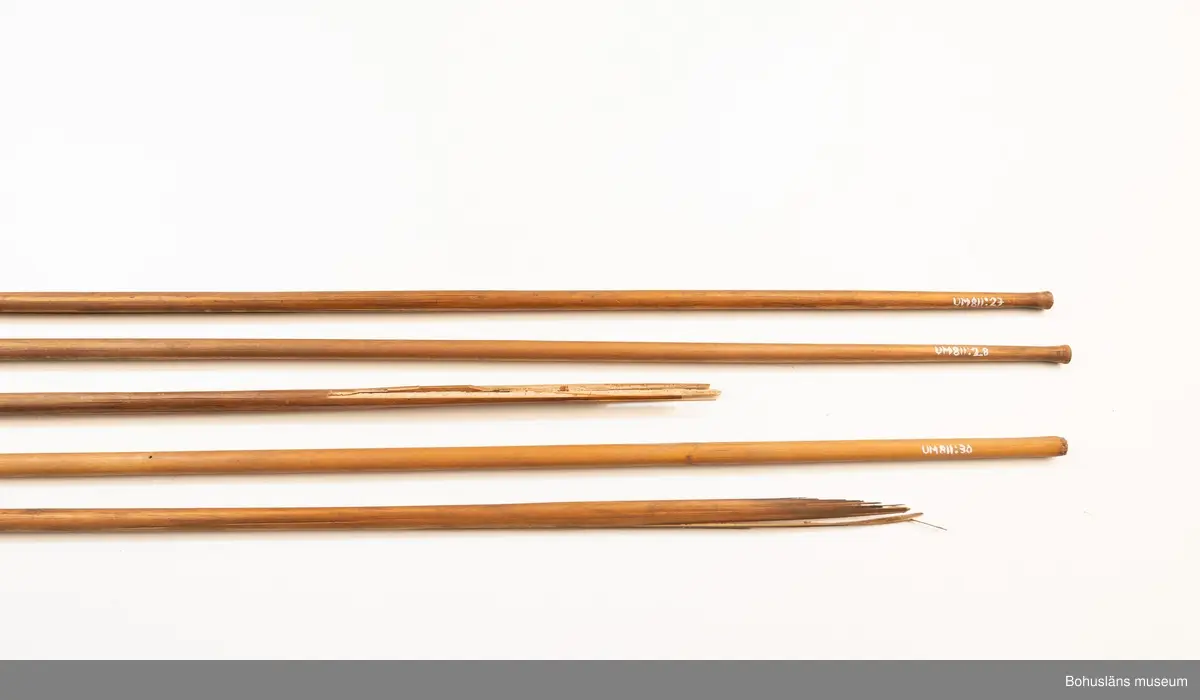 Pilen är sprucken i bägge ändar.

Ur handskrivna katalogen 1957-1958:
Pilkoger, Kongo, Afrika
Kogsets L. 42 cm, av skinn, m. fastknuten stödpinne; inneh. 30 st, varav flera är brutna och trasiga förgiftade rörpilar m. hårda spetsar av trä, L.c:a 75 cm. 
Kogset inneh. en pil, längre (c:a 10 cm mer) än de övriga; överföres t. grp UM860.
Pilarna nr, 811 är ej var för sig märkta!

Lappkatalog: 9

Ur Knut Adrian Anderssons Katalog II 1916:
No 11a, Pilkoger av läder (42x6x5 cm) innehåller 20 förgiftade rörpilar (60 cm). Från Lamami (Lomami?) i Kongo. Skänkta 2/11 1985 av löjtnant A. Hoppenrath.