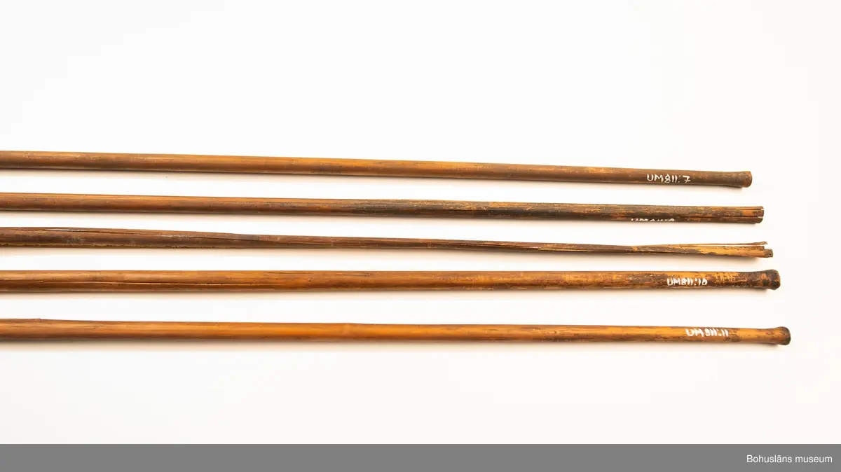 Ur handskrivna katalogen 1957-1958:
Pilkoger, Kongo, Afrika
Kogsets L. 42 cm, av skinn, m. fastknuten stödpinne; inneh. 30 st, varav flera är brutna och trasiga förgiftade rörpilar m. hårda spetsar av trä, L.c:a 75 cm. 
Kogset inneh. en pil, längre (c:a 10 cm mer) än de övriga; överföres t. grp UM860.
Pilarna nr, 811 är ej var för sig märkta!

Lappkatalog: 9

Ur Knut Adrian Anderssons Katalog II 1916:
No 11a, Pilkoger av läder (42x6x5 cm) innehåller 20 förgiftade rörpilar (60 cm). Från Lamami (Lomami?) i Kongo. Skänkta 2/11 1985 av löjtnant A. Hoppenrath.
