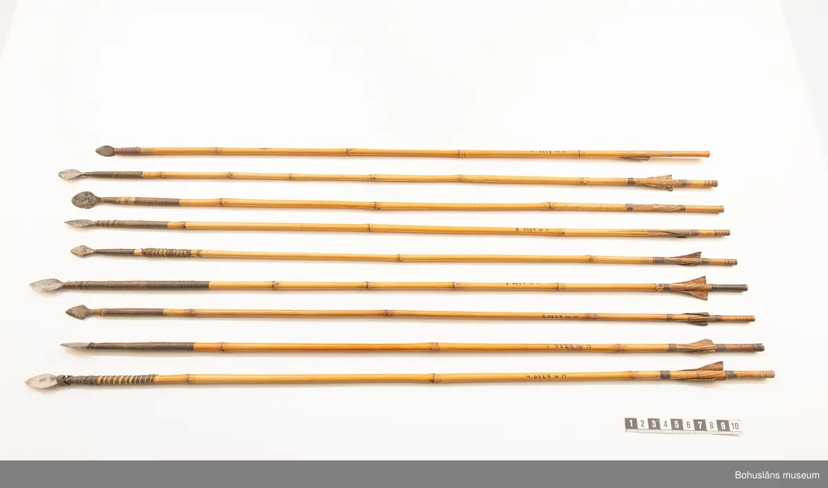 Ur handskrivna katalogen 1957-1958:
Pilar 9 st.
med skaft av bamburör. Tunna, breda järnspetsar fästade med surrning. Styrning med infällda läderbitar L 62.5 - 67,5 cm 

Lappkatalog: 10
