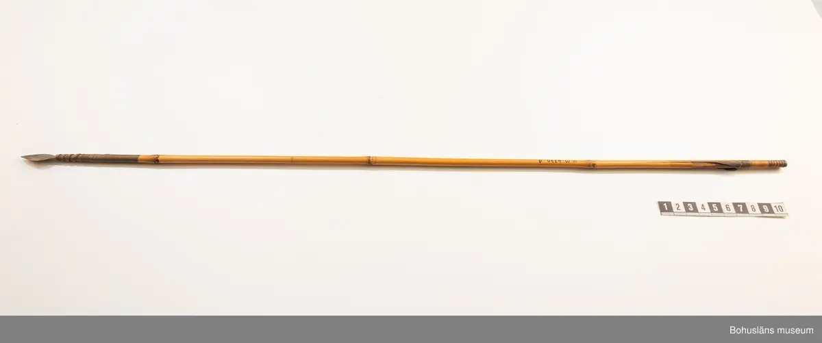 Ur handskrivna katalogen 1957-1958:
Pilar 9 st.
med skaft av bamburör. Tunna, breda järnspetsar fästade med surrning. Styrning med infällda läderbitar L 62.5 - 67,5 cm 

Lappkatalog: 10
