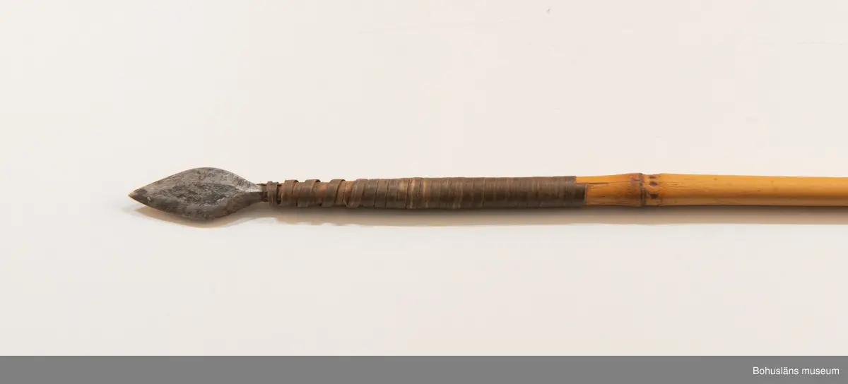 Ur handskrivna katalogen 1957-1958:
Pilar 9 st.
med skaft av bamburör. Tunna, breda järnspetsar fästade med surrning. Styrning med infällda läderbitar L 62.5 - 67,5 cm 

Lappkatalog: 10
