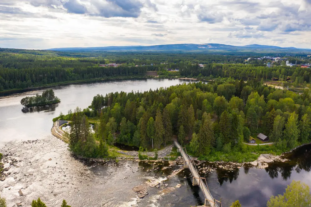 Bildet viser bilde av Prestøya  tatt med drone. Skog og Glomma som går på begge sider av øya.