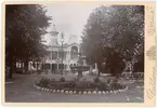 Kabinettsfotografi - Flustret, Uppsala 1890