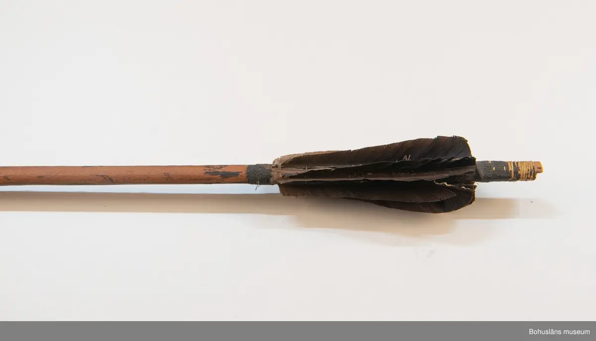 Kontinent: Afrika.

Ur lappkatalogen:
Pil, l. 94 cm. Spets av järn med två stora hullingar o. en mängd smärre. Skaftholk på sticka, instucken i skaftet o. surrad. Stickan försedd med skurna ornament o. två människoansikten i relief. 10 styrfjädrar, något vridna. Mangbetu el. Azande.

Uppgifter om E. Göransson i Knut Adrian Anderssons katalog samt historik om samlingen: Se UM61.3.1