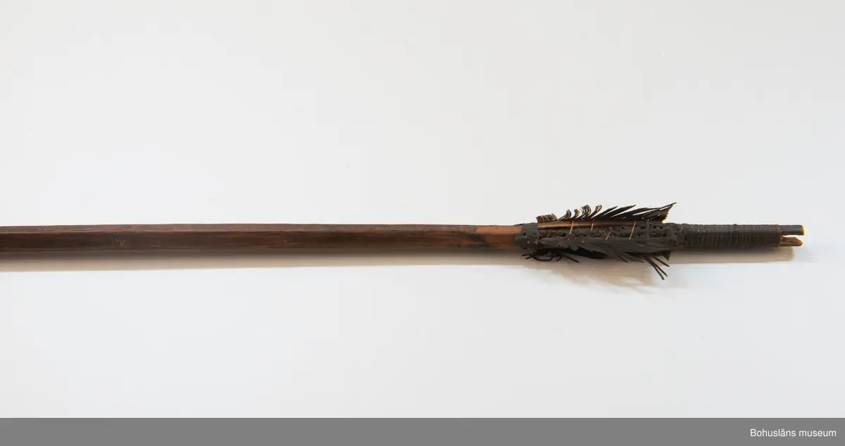 Kontinent: Afrika
20 st. pilar. Pilarnas längd varierar mellan 68 - 78 cm. Består av träskaft och järnpilspetsar. Fjädrar fastsatta på träskaftens motsatta ände.
