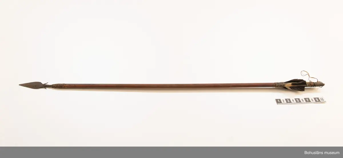 Kontinent: Afrika
19 pilspetsar. Längden varierar mellan 64 - 72 cm. Består av träskaft och järnpilspetsar. Alla pilspetsarna finns kvar. Fjäderbesättning saknas på 2 av skaften.
