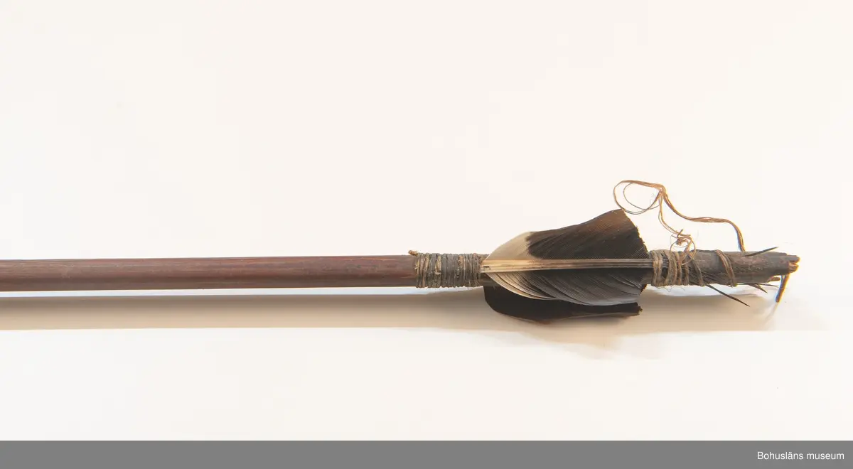 Kontinent: Afrika
19 pilspetsar. Längden varierar mellan 64 - 72 cm. Består av träskaft och järnpilspetsar. Alla pilspetsarna finns kvar. Fjäderbesättning saknas på 2 av skaften.
