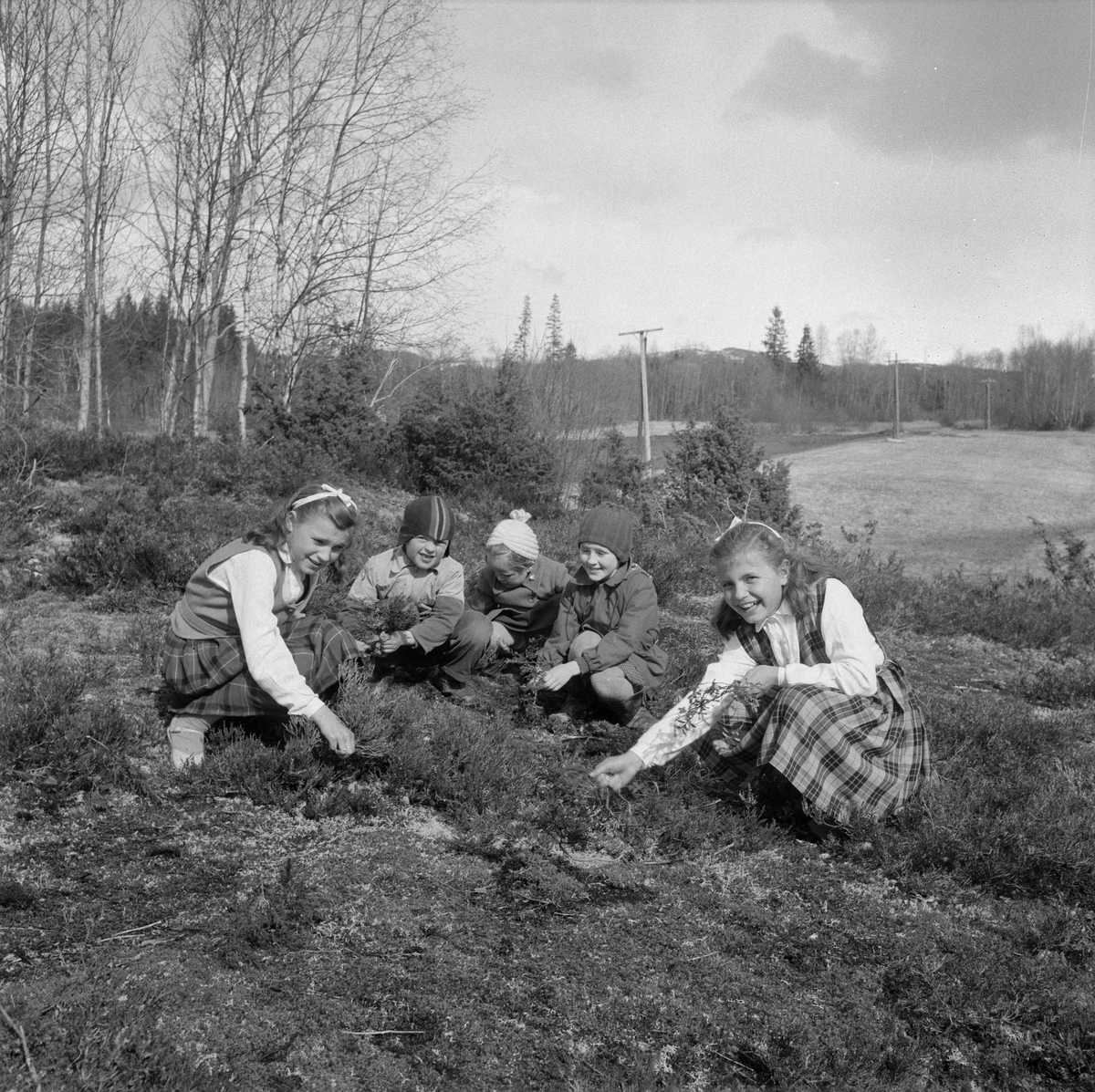 Ungarske flyktninger i Skogn