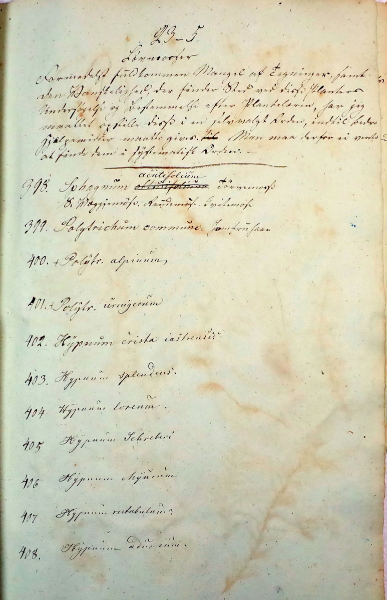 Plante nr. 405 frå Ivar Aasen sitt herbarium.  



