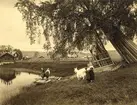 Ett sommarmotiv med barn och en get. Leksands kommun