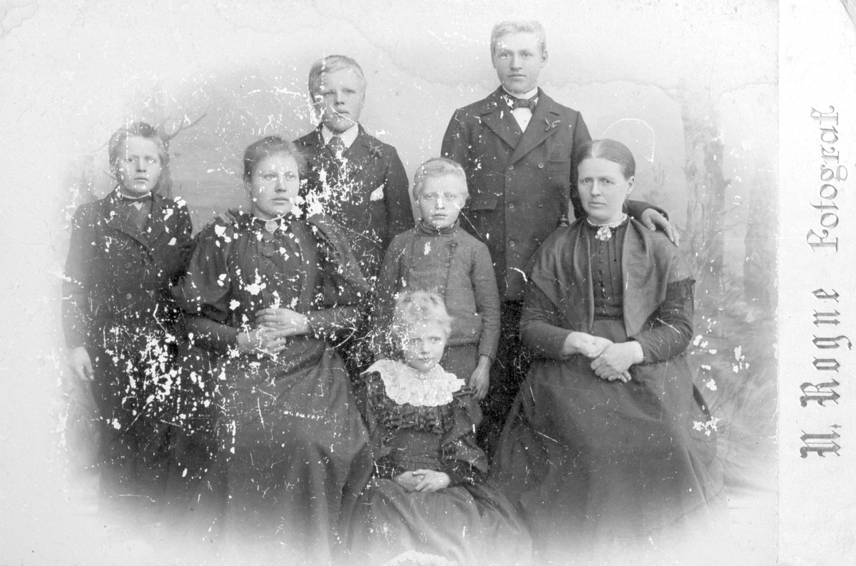 Familien Hodne