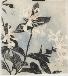 Kaprifol [Träsnitt]