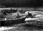 Skötrodden 1949, den sista i sitt slag. Båten längst fram styrs av Haldo Norberg. Båten nr 2 styrs av Einar Göransson, Betty Göransson i mitten och i fören sitter Gunnar Ekberg. Båten nr 3 stående Lars Erik Norberg. Båten nr 4 styrs av Albin Wedin. Båten nr 5 styrs av Ola Lundgren med Ingemar Wedin i ett barn som passagerare.  Båtarna befinner sig i höjd med den s.k. piksten och i samtliga båtar kommer man att vrida om bränslekranen från bensin- till fotogendrift. Man kan se den delade tanken i Haldo Norbergs båt.