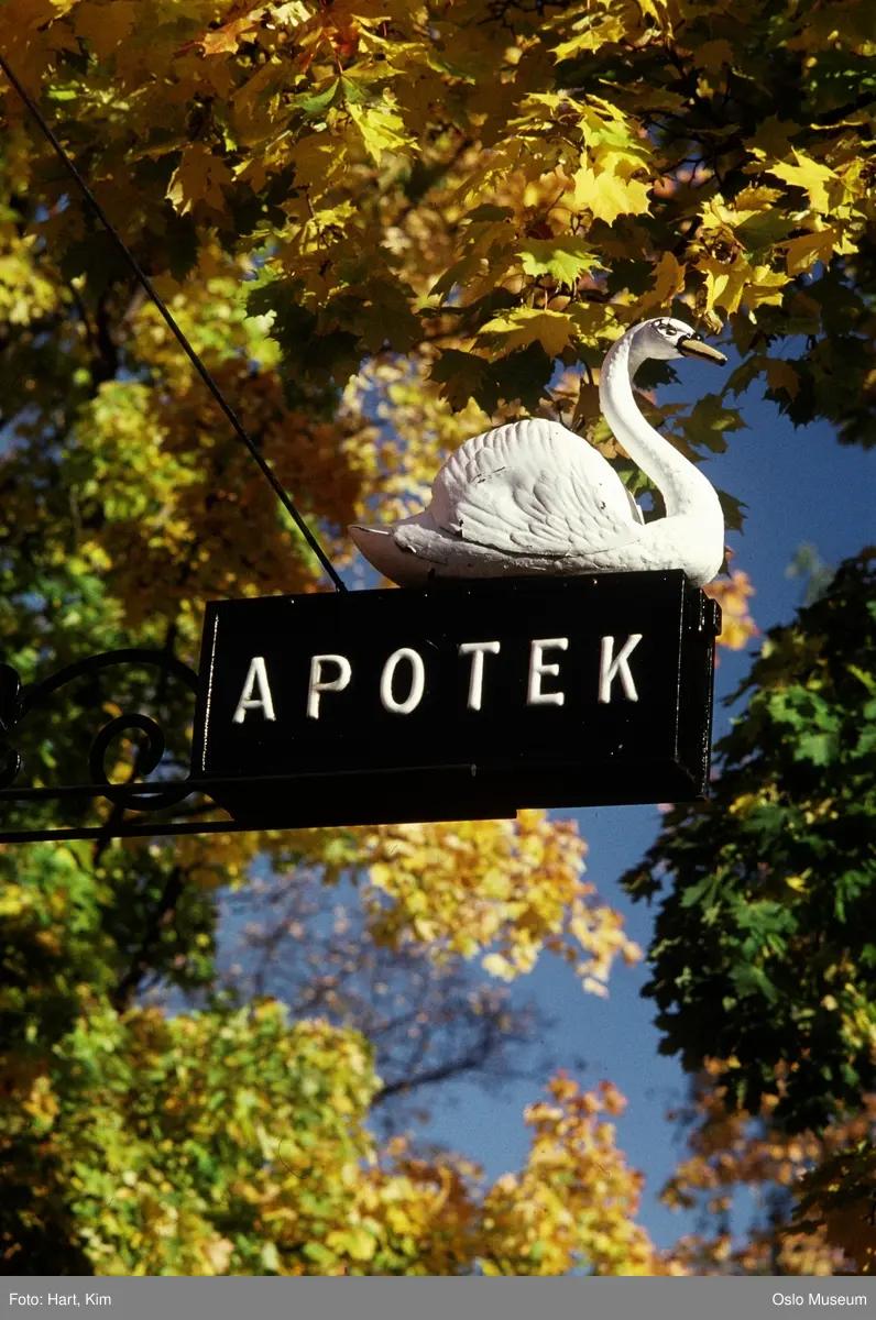Norsk Folkemuseum, bygning, apotekskilt, svane, trær, høstgult løv