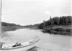 Parti av Stångån 1904. Foto i höjd med Uveberg till höger. I fonden skymtar slussvaktarbostaden till Hackefors sluss. I en glänta till vänster kom upplysningsvis direktör Carl Lorich att kort efter bildens tillkomst uppföra sommarnöjet Vårgård för sig och sin familj.