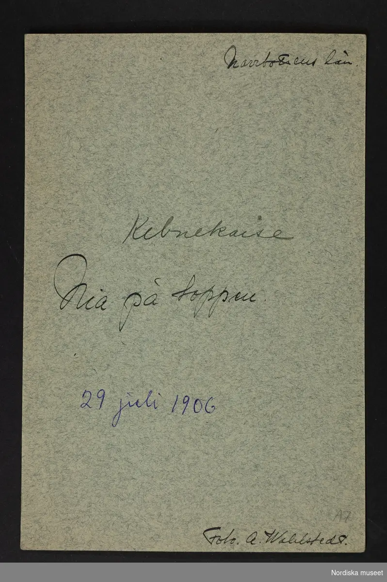 Porträtt av samisk man stående i snö med stav i handen. Påskrift "Kebnekajse Nia på toppen 29 juli 1906".