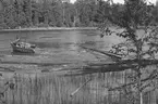 Kilströmmens nedre del. Radiobåten drar ner gamla timmerupplag från stranden. Rickard Johansson kör.