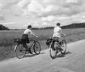 Två barn, pojke och flicka, på stora cyklar åker på grusväg intill en åker. Pojken har en resväska på pakethållaren.